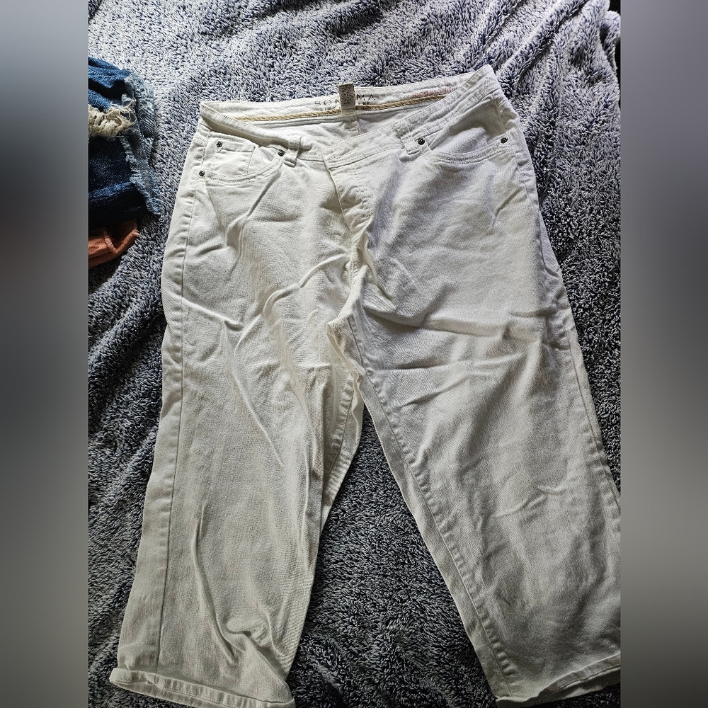 Sonoma sz 18w crops